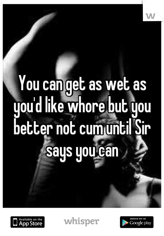 You can get as wet as you'd like whore but you better not cum until Sir says you can