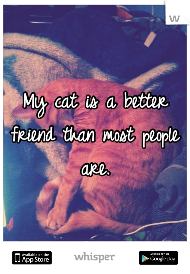 My cat is a better
friend than most people are.