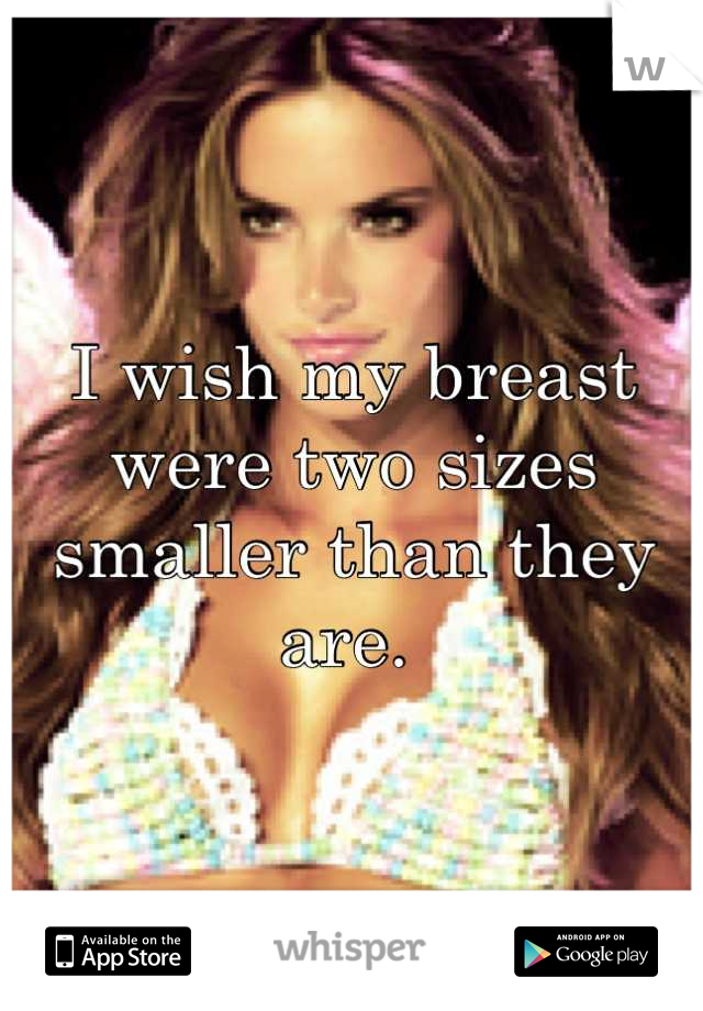 I wish my breast were two sizes smaller than they are. 