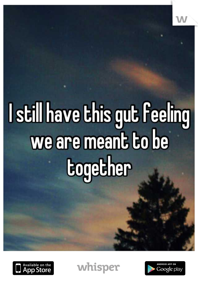I still have this gut feeling we are meant to be together