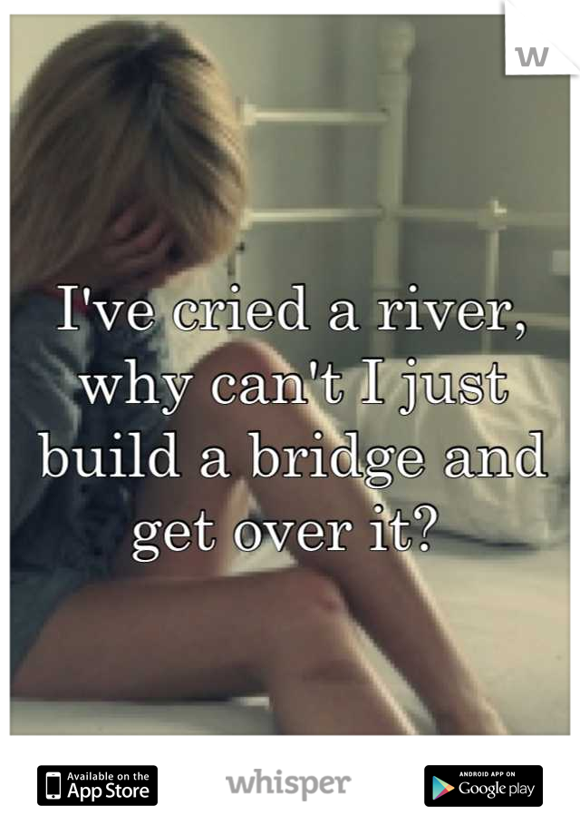I've cried a river, why can't I just build a bridge and get over it? 