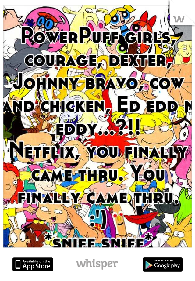 PowerPuff girls, courage, dexter, Johnny bravo, cow and chicken, Ed edd n eddy...?!!
Netflix, you finally came thru. You finally came thru.
:')
*sniff sniff*
