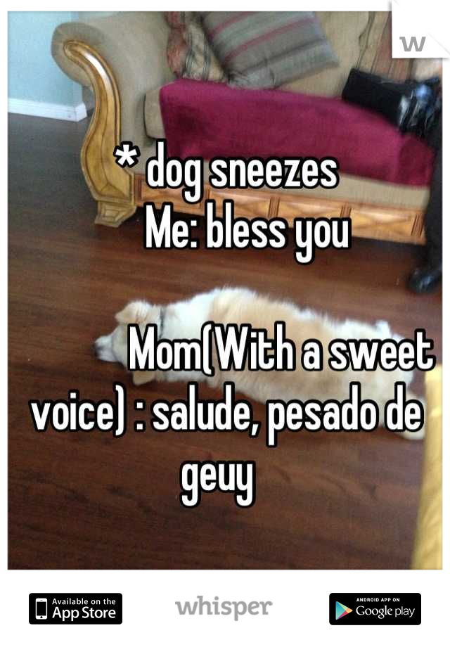 * dog sneezes    
     Me: bless you

             Mom(With a sweet voice) : salude, pesado de geuy  