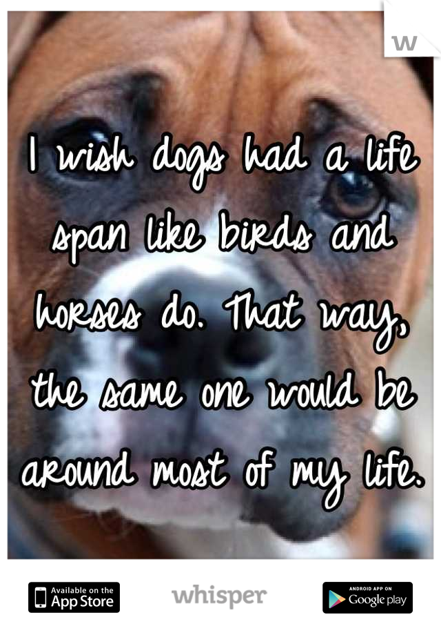 I wish dogs had a life span like birds and horses do. That way, the same one would be around most of my life.