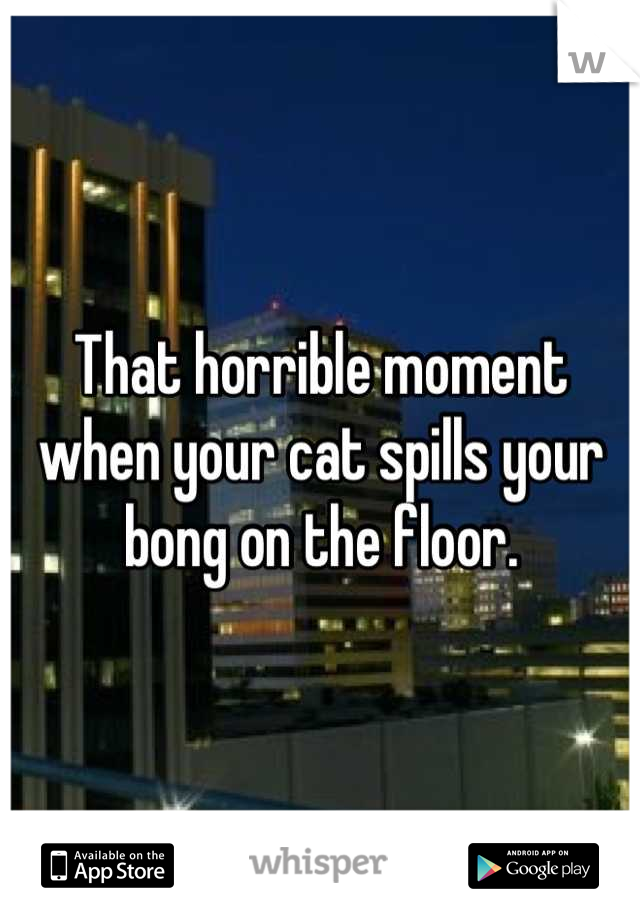 That horrible moment when your cat spills your bong on the floor.