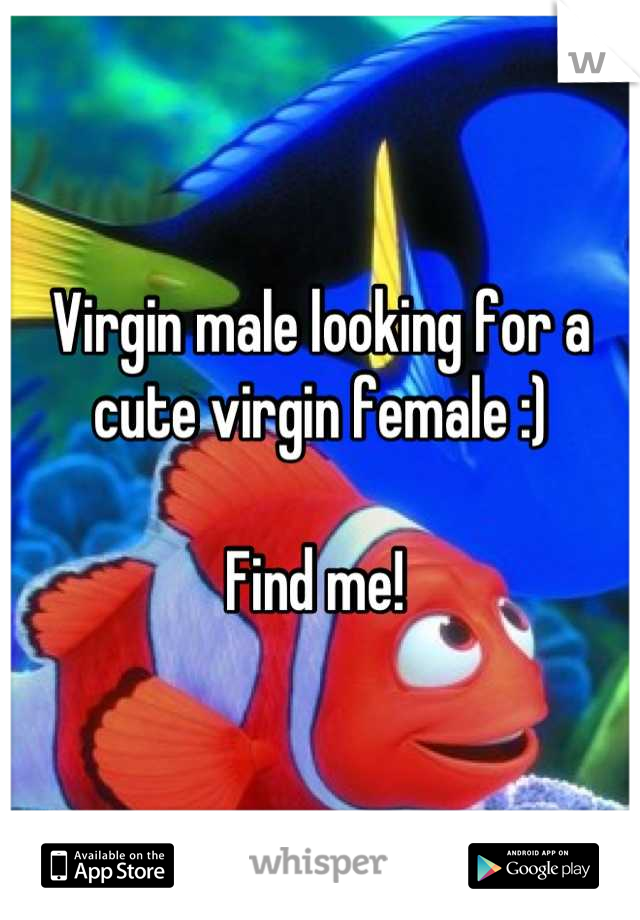 Virgin male looking for a cute virgin female :) 

Find me! 