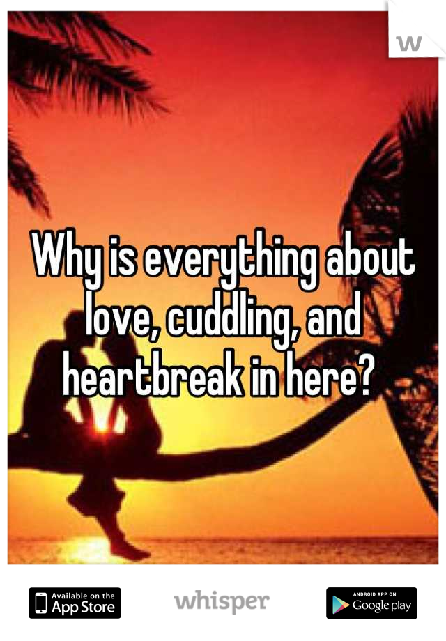 Why is everything about love, cuddling, and heartbreak in here? 