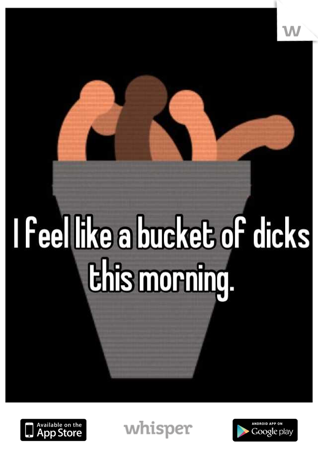 I feel like a bucket of dicks this morning.