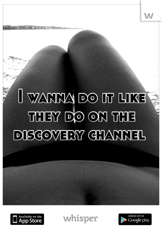 I wanna do it like they do on the discovery channel 