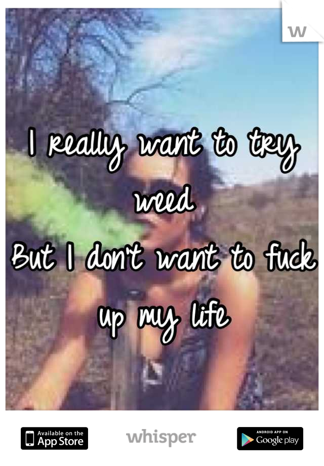 I really want to try weed
But I don't want to fuck up my life