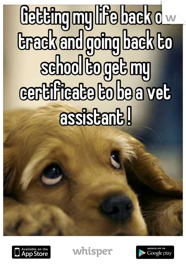 Getting my life back on track and going back to school to get my certificate to be a vet assistant !