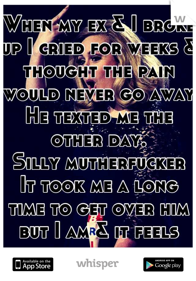 When my ex & I broke up I cried for weeks & thought the pain would never go away
He texted me the other day.
Silly mutherfucker
It took me a long time to get over him but I am & it feels damn good