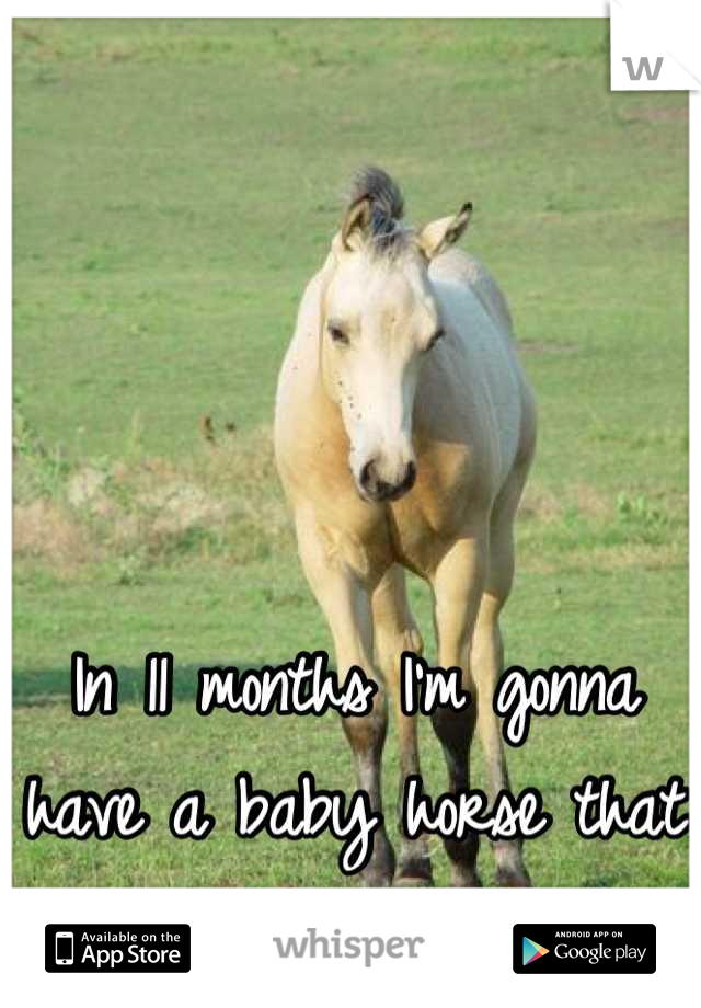 In 11 months I'm gonna have a baby horse that looks like this one! :D