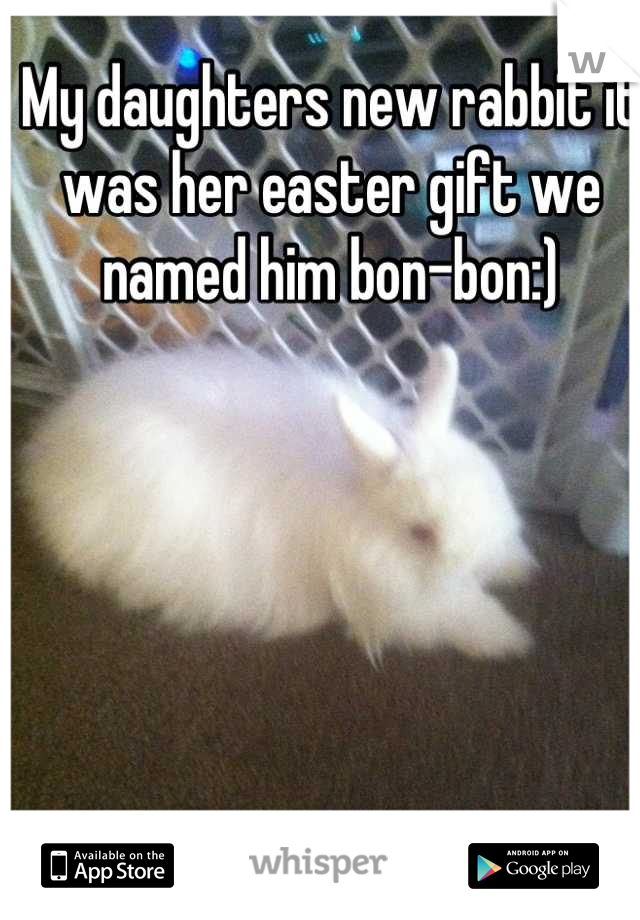 My daughters new rabbit it was her easter gift we named him bon-bon:)