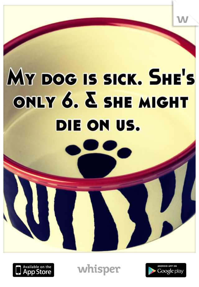 My dog is sick. She's only 6. & she might die on us. 