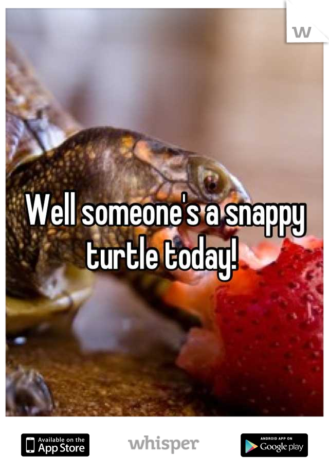 Well someone's a snappy turtle today! 