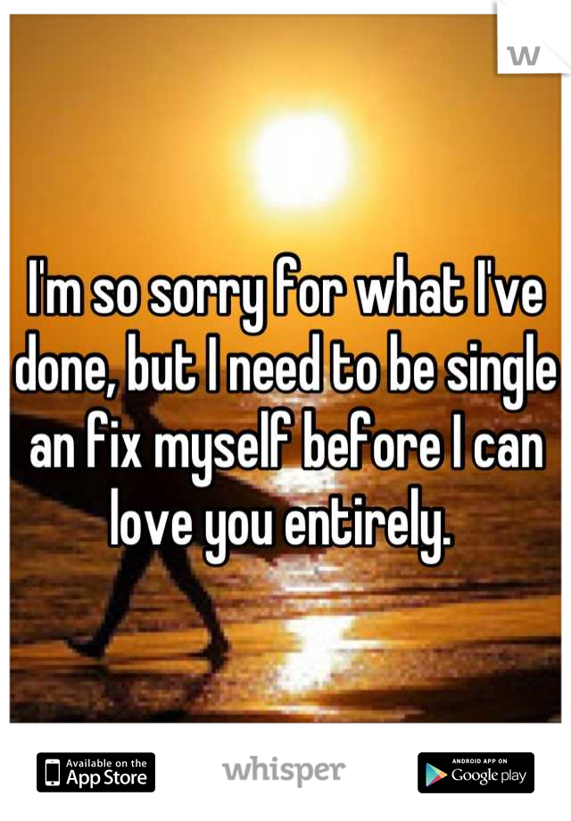 I'm so sorry for what I've done, but I need to be single an fix myself before I can love you entirely. 