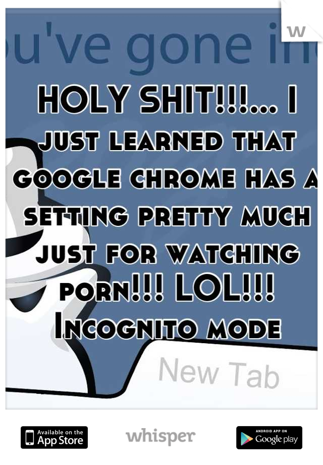 HOLY SHIT!!!... I just learned that google chrome has a setting pretty much just for watching porn!!! LOL!!!
Incognito mode