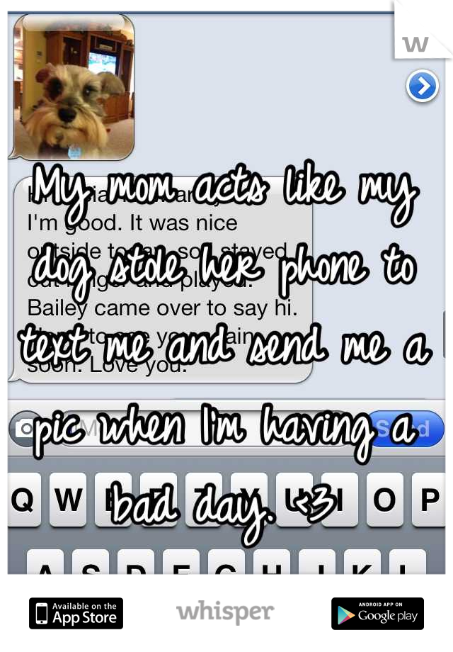 My mom acts like my dog stole her phone to text me and send me a pic when I'm having a bad day. <3