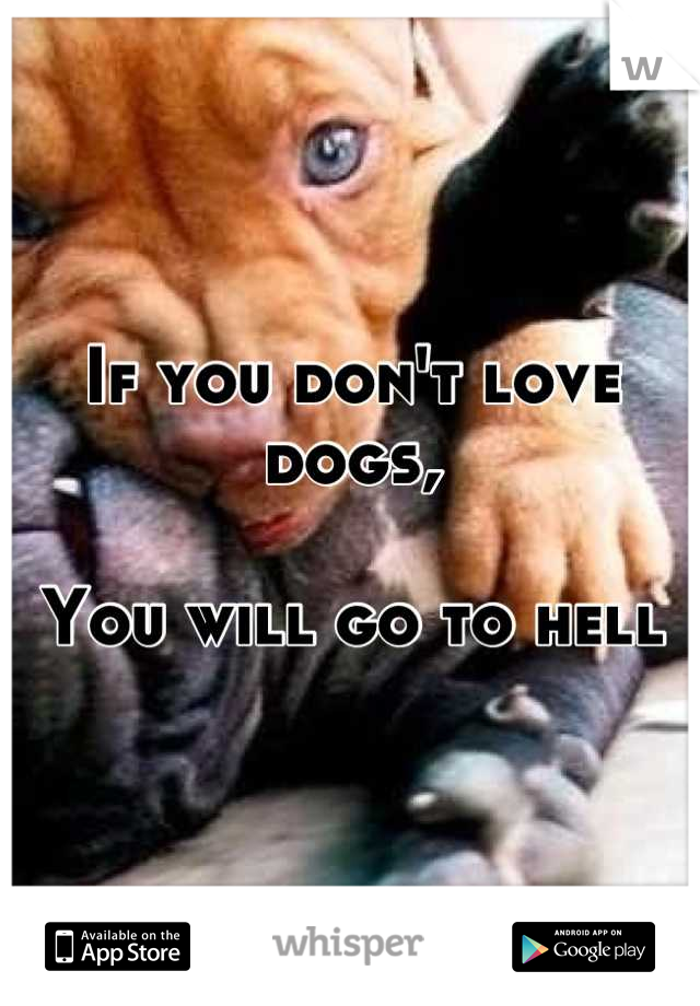 If you don't love dogs,

You will go to hell