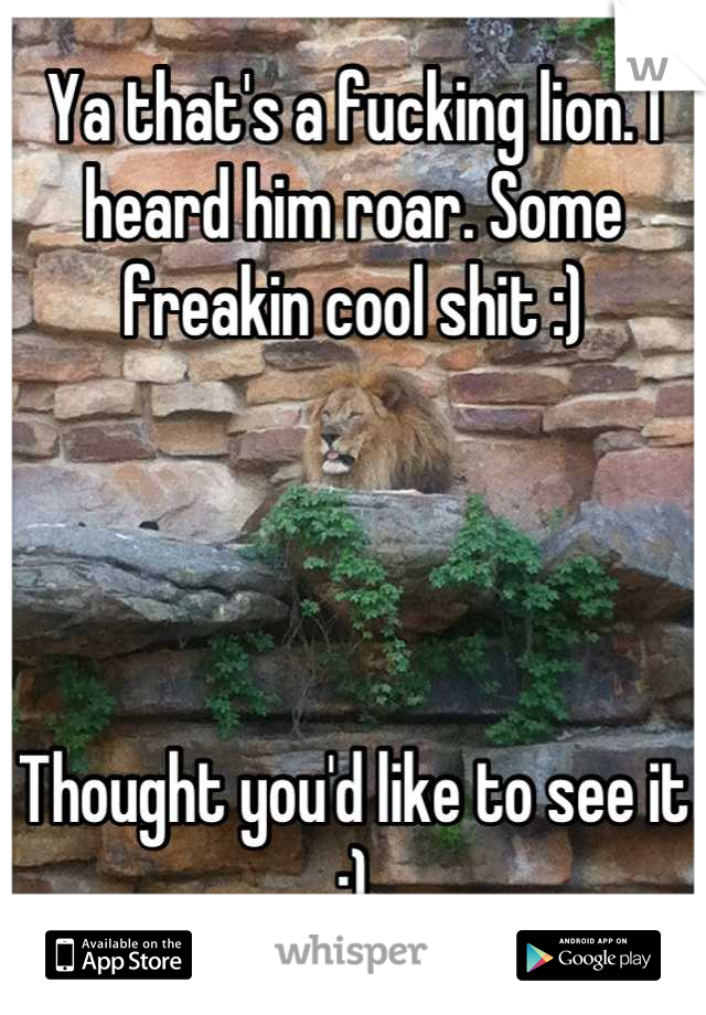 Ya that's a fucking lion. I heard him roar. Some freakin cool shit :)




Thought you'd like to see it :)