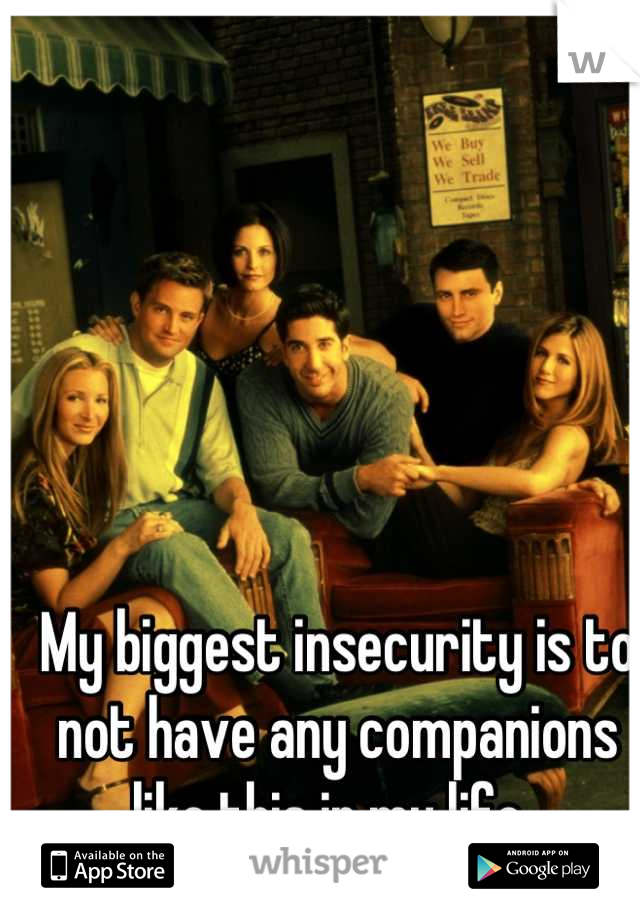 My biggest insecurity is to not have any companions like this in my life. 