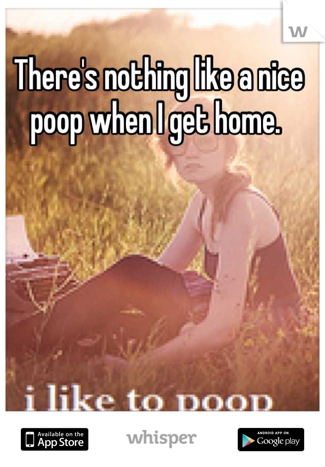 There's nothing like a nice poop when I get home. 