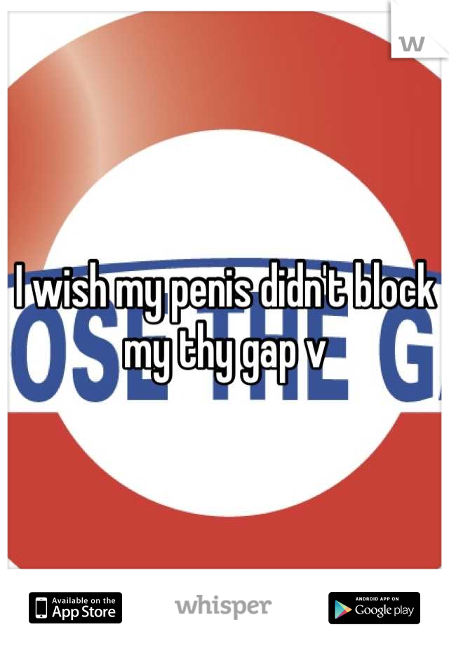 I wish my penis didn't block my thy gap v