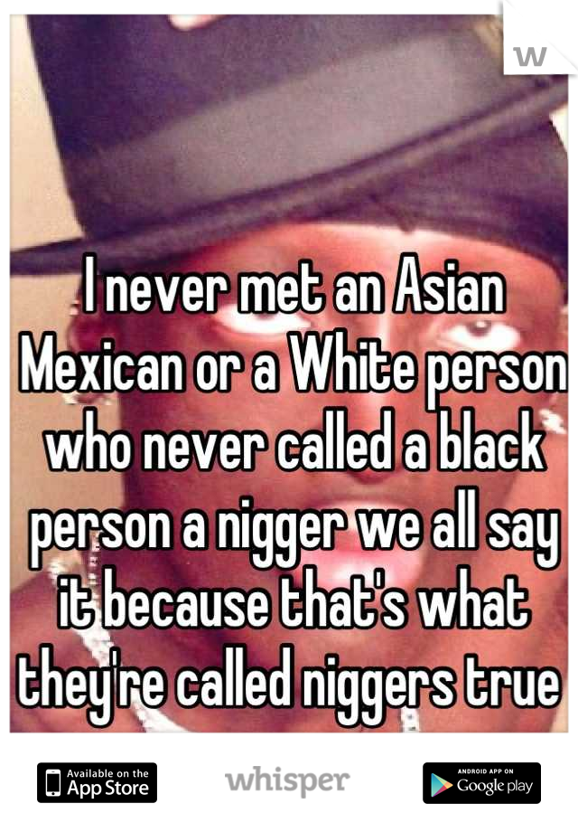 I never met an Asian Mexican or a White person who never called a black person a nigger we all say it because that's what they're called niggers true 