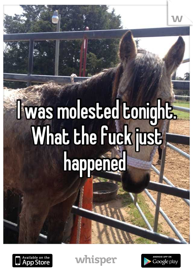 I was molested tonight. What the fuck just happened 