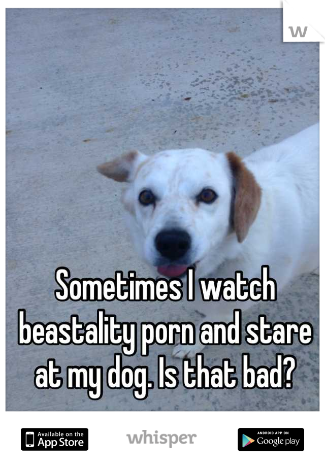 Sometimes I watch beastality porn and stare at my dog. Is that bad?