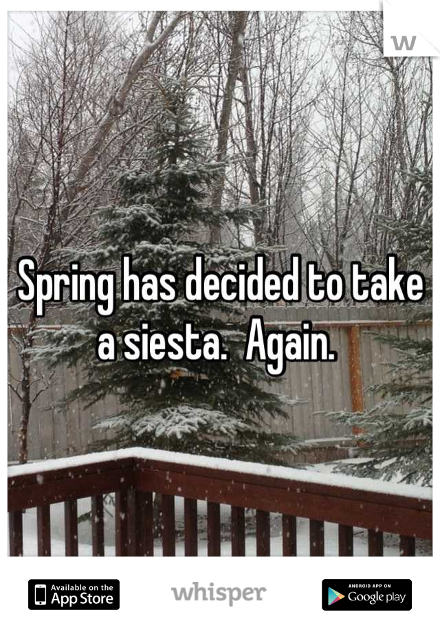 Spring has decided to take a siesta.  Again. 