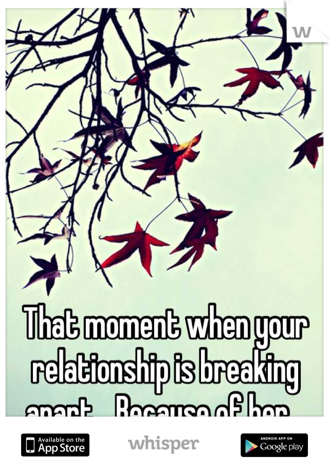 That moment when your relationship is breaking apart... Because of her...