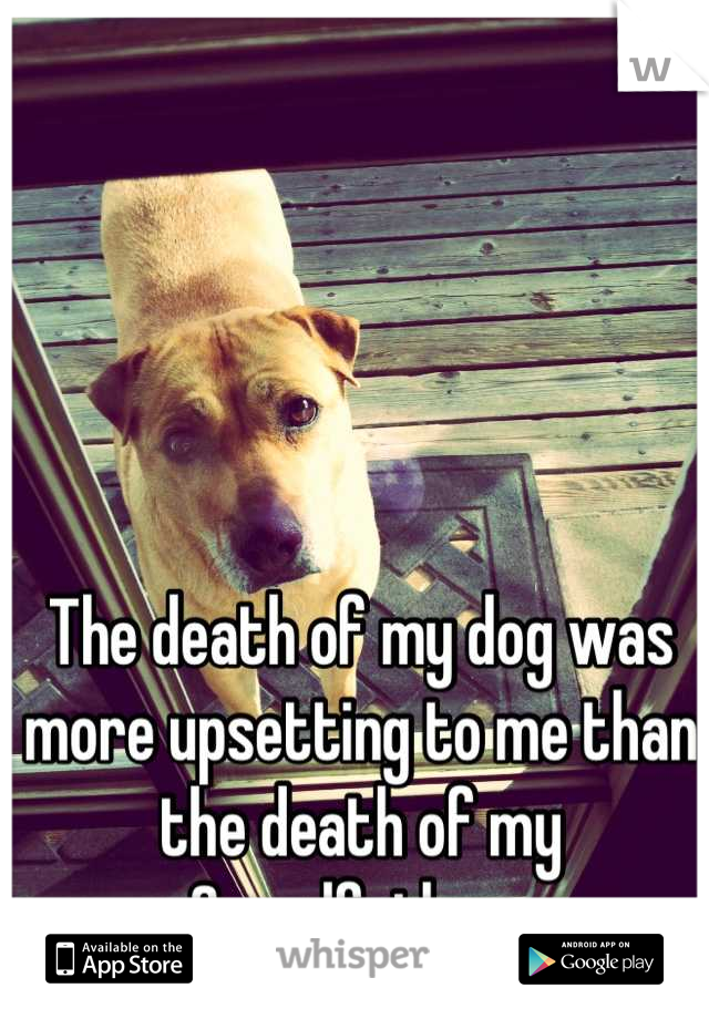 The death of my dog was more upsetting to me than the death of my Grandfather. 