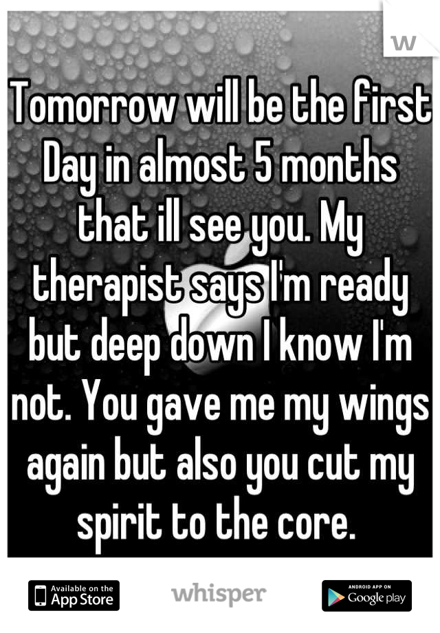 Tomorrow will be the first
Day in almost 5 months that ill see you. My therapist says I'm ready but deep down I know I'm not. You gave me my wings again but also you cut my spirit to the core. 