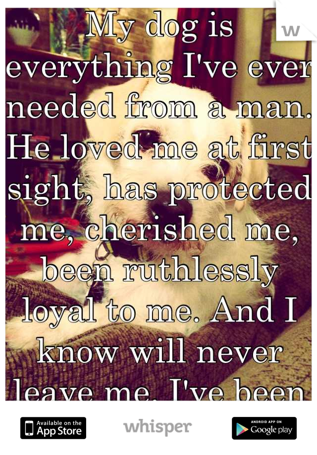 My dog is everything I've ever needed from a man. He loved me at first sight, has protected me, cherished me, been ruthlessly loyal to me. And I know will never leave me. I've been blessed. :)