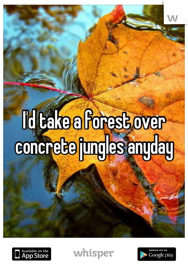 I'd take a forest over concrete jungles anyday