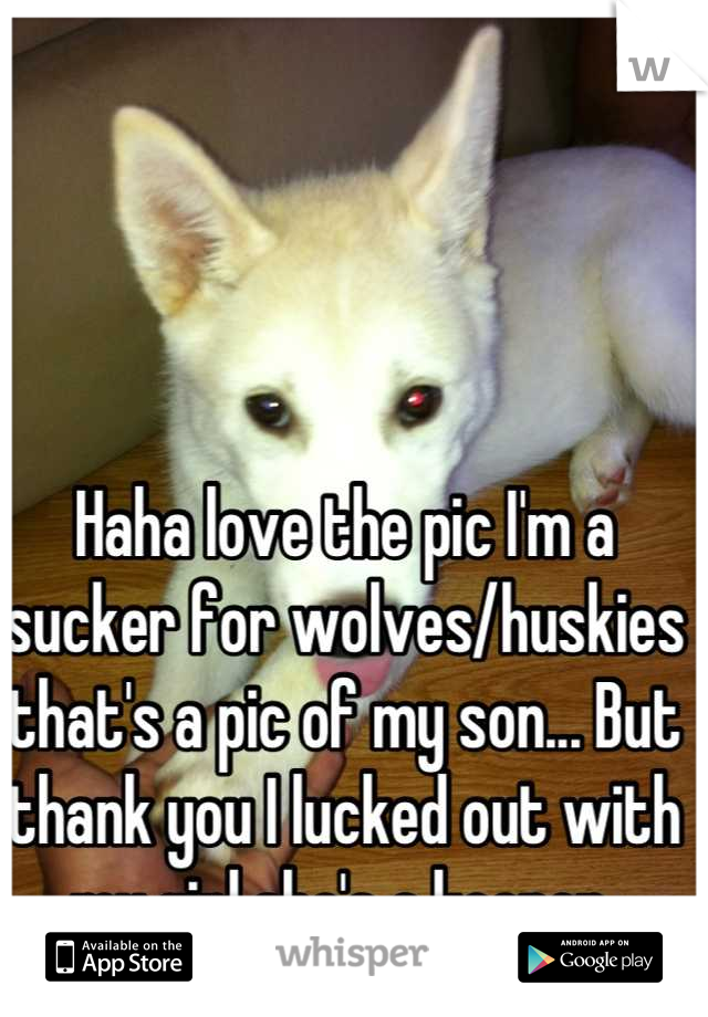 Haha love the pic I'm a sucker for wolves/huskies that's a pic of my son... But thank you I lucked out with my girl she's a keeper 