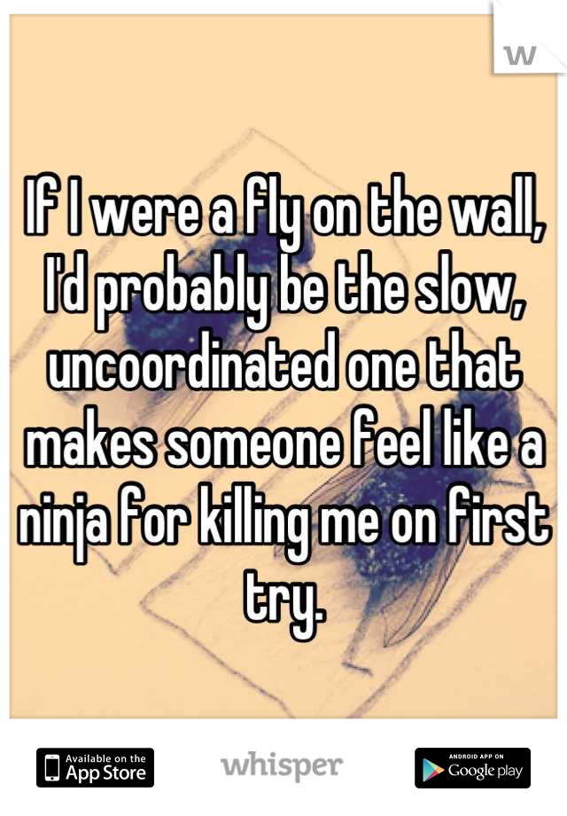 If I were a fly on the wall, I'd probably be the slow, uncoordinated one that makes someone feel like a ninja for killing me on first try.