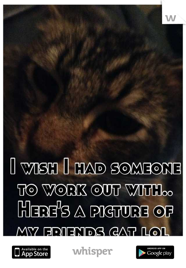 I wish I had someone to work out with.. Here's a picture of my friends cat lol 