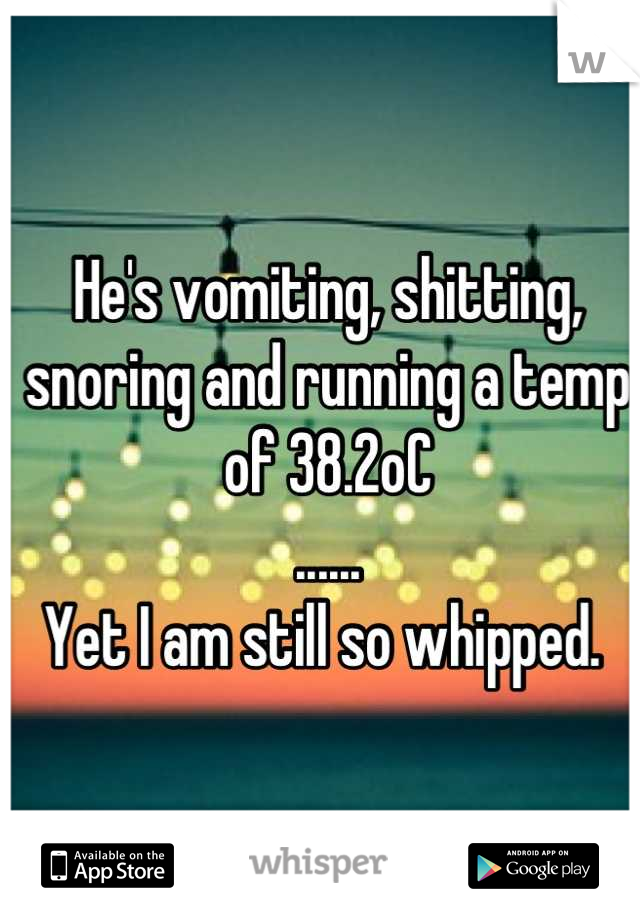 He's vomiting, shitting, snoring and running a temp of 38.2oC
......
Yet I am still so whipped. 