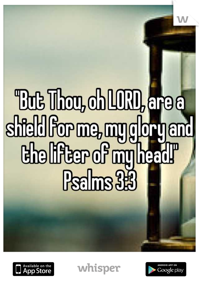 "But Thou, oh LORD, are a shield for me, my glory and the lifter of my head!" Psalms 3:3