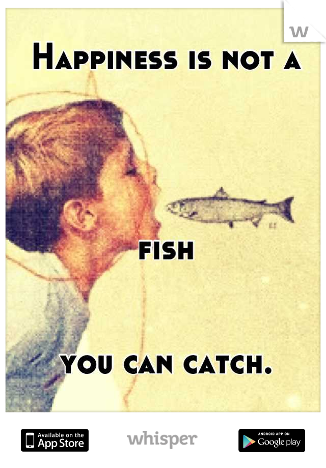 Happiness is not a 




fish 


you can catch.