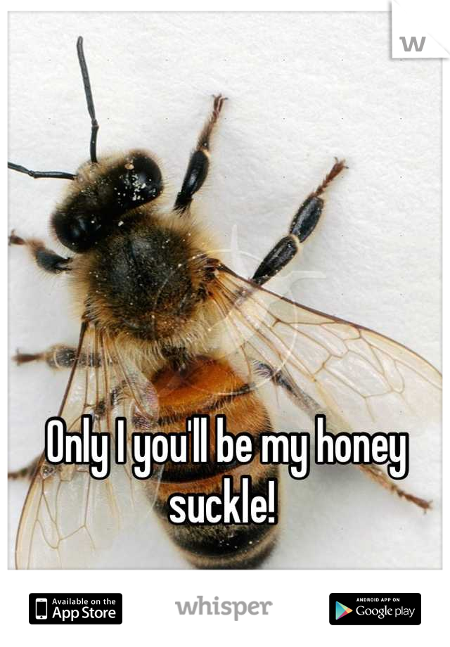 Only I you'll be my honey suckle! 