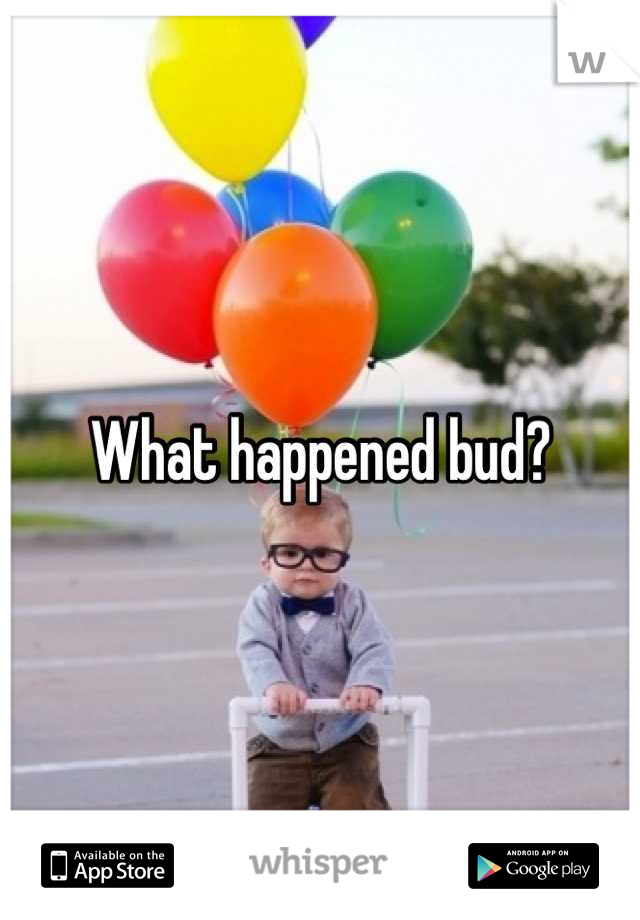 what-happened-bud