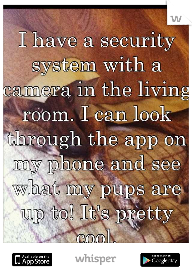 I have a security system with a camera in the living room. I can look through the app on my phone and see what my pups are up to! It's pretty cool.