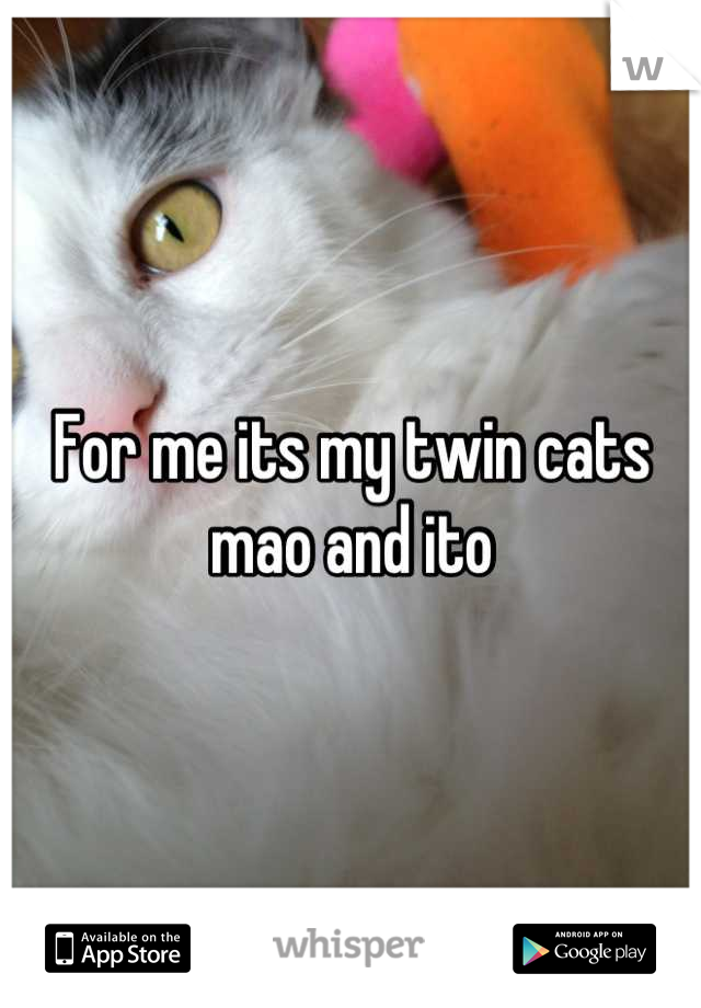For me its my twin cats mao and ito