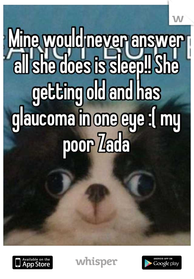 Mine would never answer all she does is sleep!! She getting old and has glaucoma in one eye :( my poor Zada