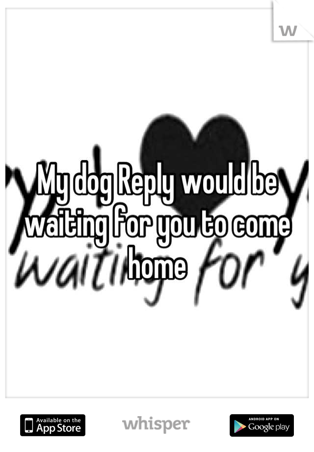 My dog Reply would be waiting for you to come home