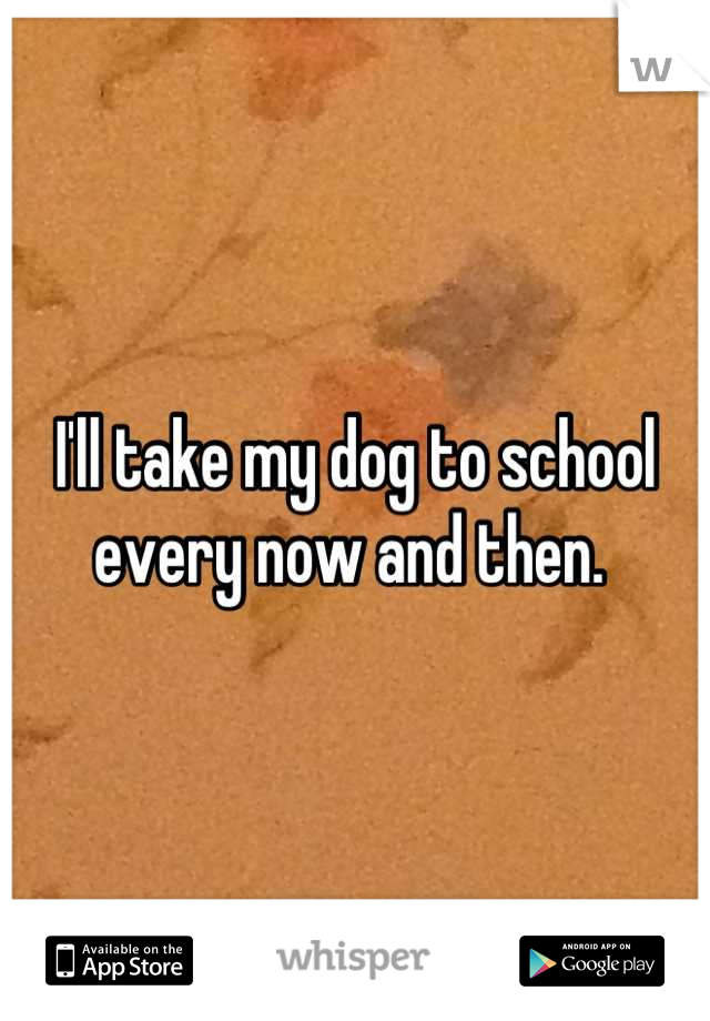 I'll take my dog to school every now and then. 